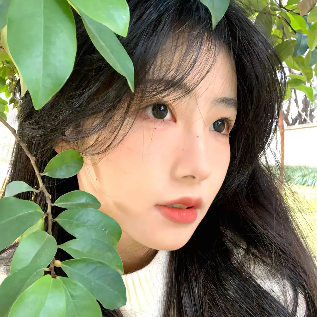 前哨第二季