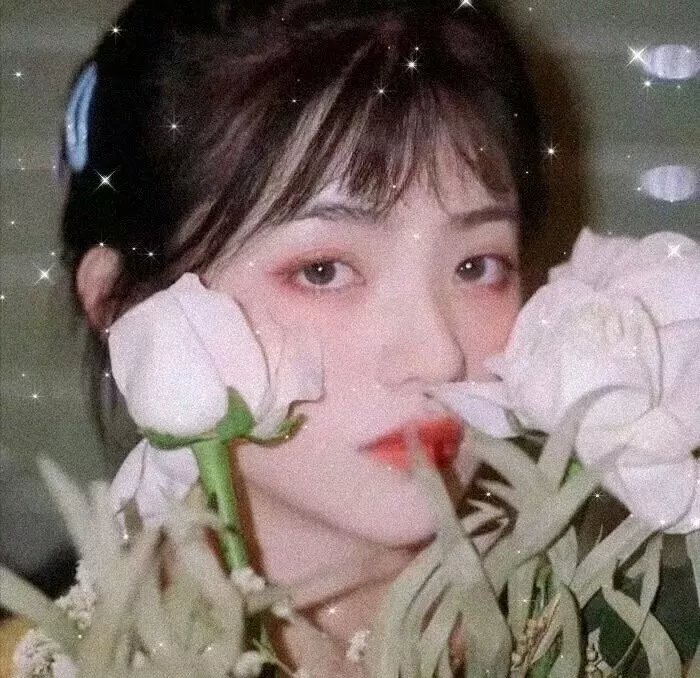 超级迪克